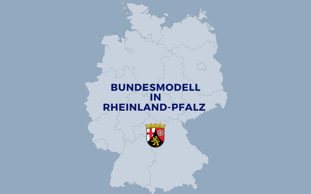 Anleitung Grundstückseigentümer Feststellungserklärung - Rheinland-Pfalz